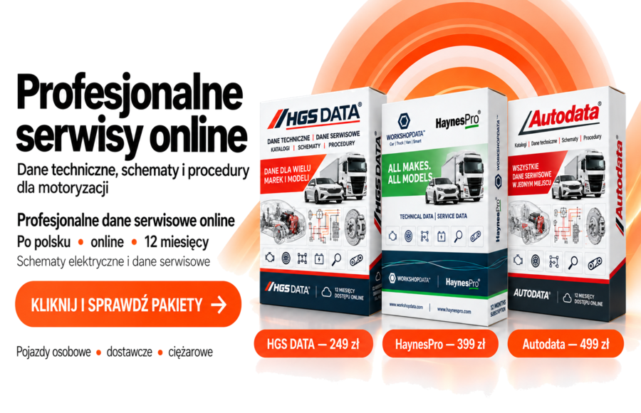 Profesjonalne serwisy online